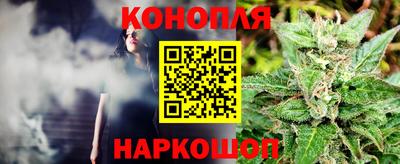 гидра Краснознаменск