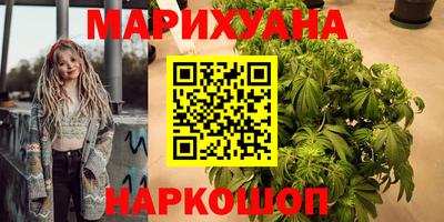 гидра Краснознаменск