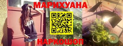 гидра Краснознаменск