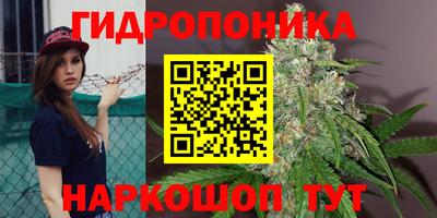 гидра Краснознаменск