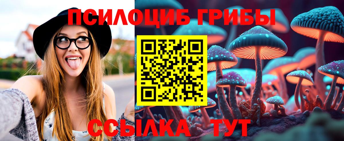 Псилоцибиновые грибы мицелий Ялта
